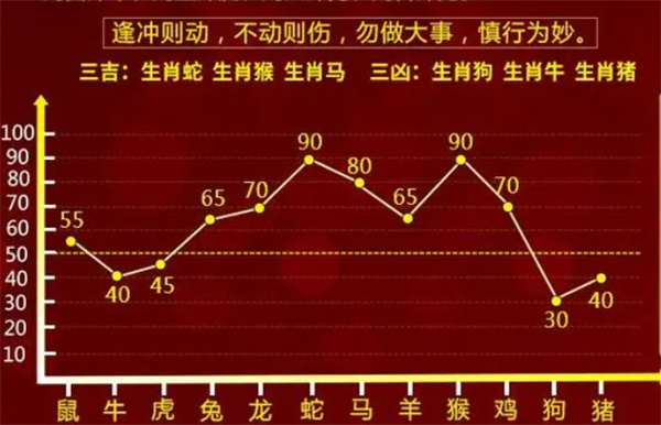 探索大三巴一肖一码100的奥秘，精准，词语释义与实际应用的深度解析