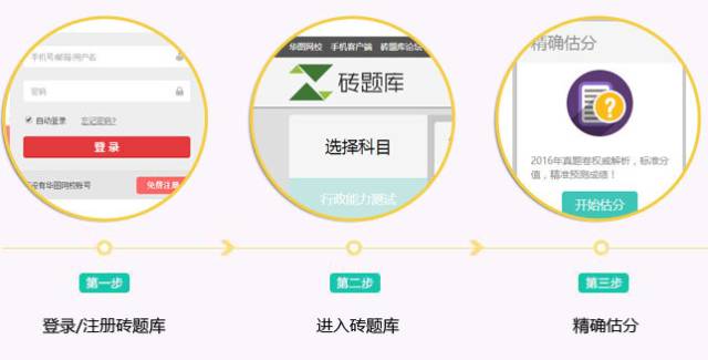 精准把握一肖 今晚的奥秘，精准，解析与落实的深度探索