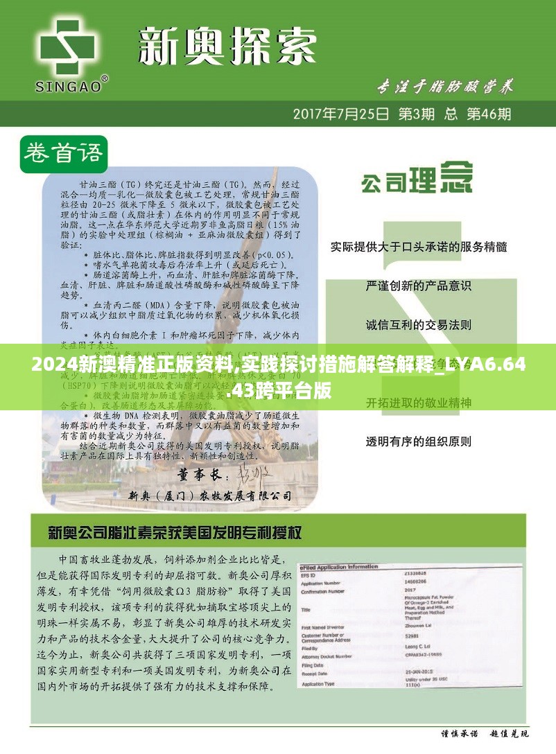 精选解析，精准，落实新澳资料，精准，打造高效学习与工作指南