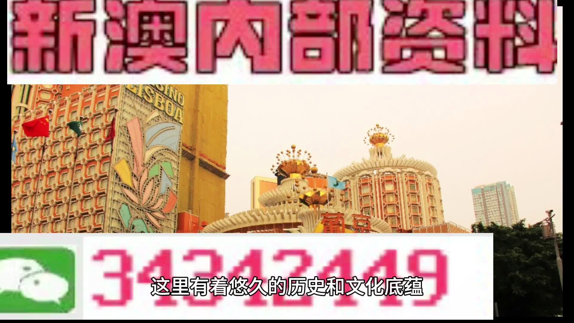 澳门内部资料精准大全，精准，揭秘与解读