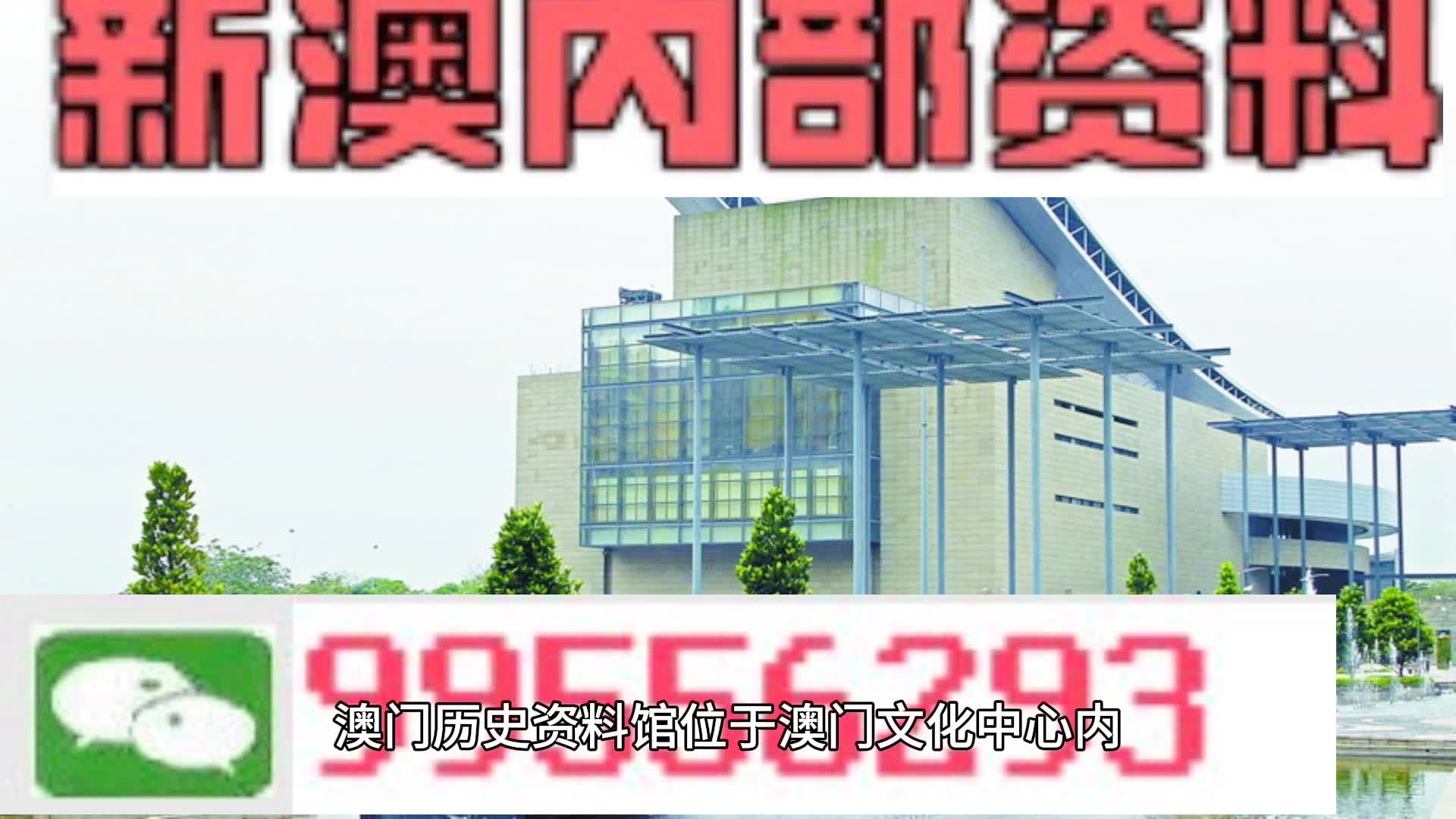 2024年新澳门王中王资料199期，精准，精选解析与解释落实