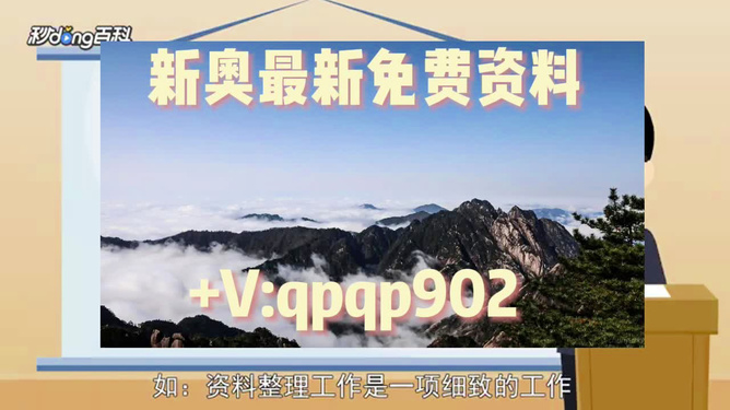 2024新奥正版资料大全，精准，精选解析解释落实