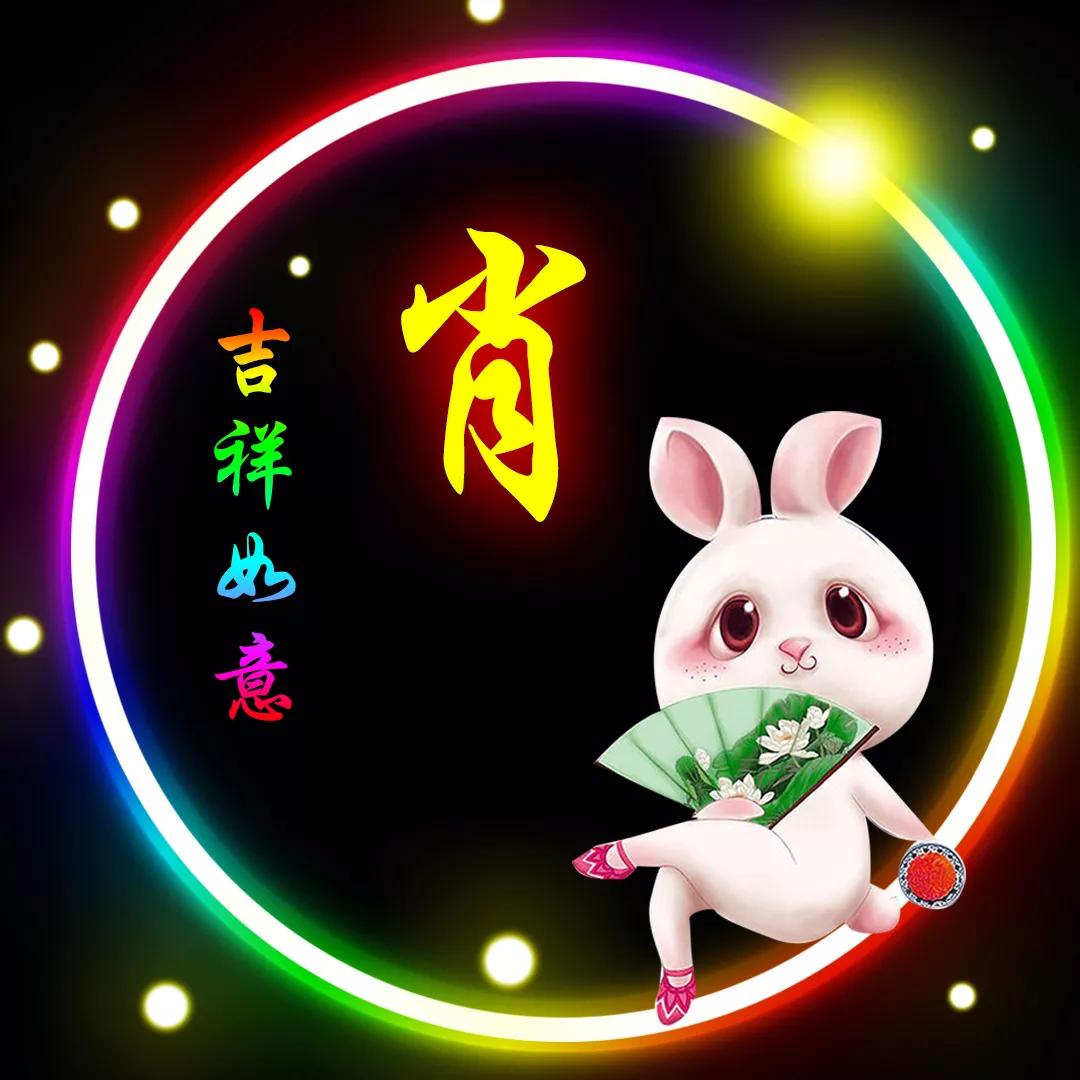 一码一肖100%精准生肖，精准，精选解析解释落实