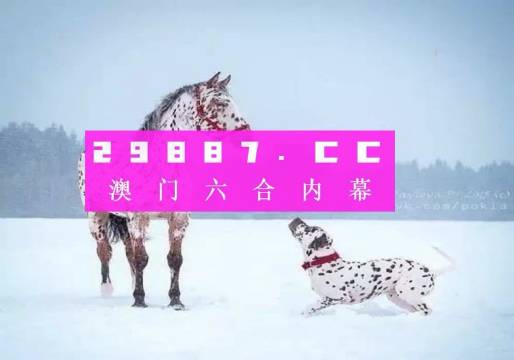 澳门一肖一码一一中一特，精准，精选解析解释落实