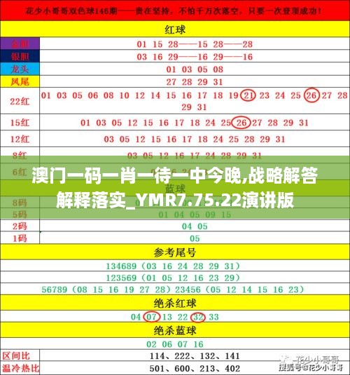 大三巴免费资枓一肖，精准，全面释义解释落实