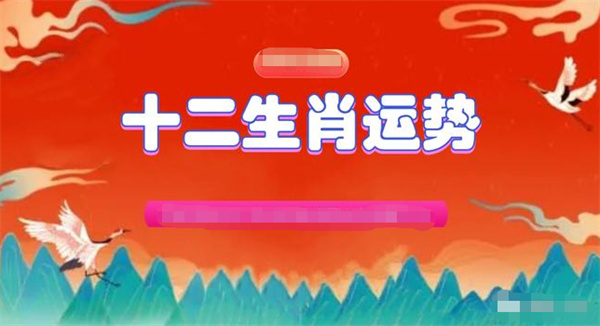 最准一肖一码一一中一，精准，精选解析解释落实