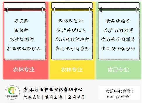资讯 第97页