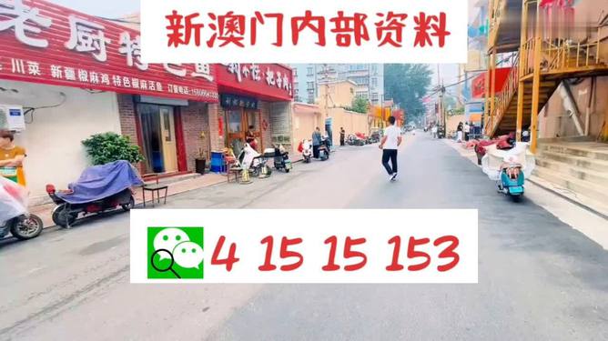 2024澳门天天开好彩大全19期，精选解析解释落实