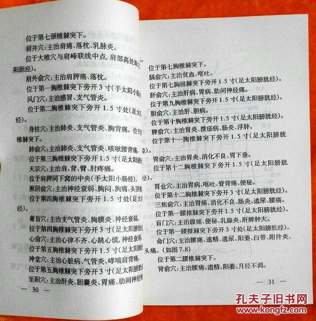 澳门一肖一特一中，词语释义解释落实