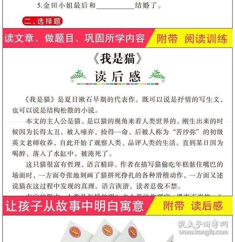 新奥精准免费提供港澳彩，词语释义解释落实