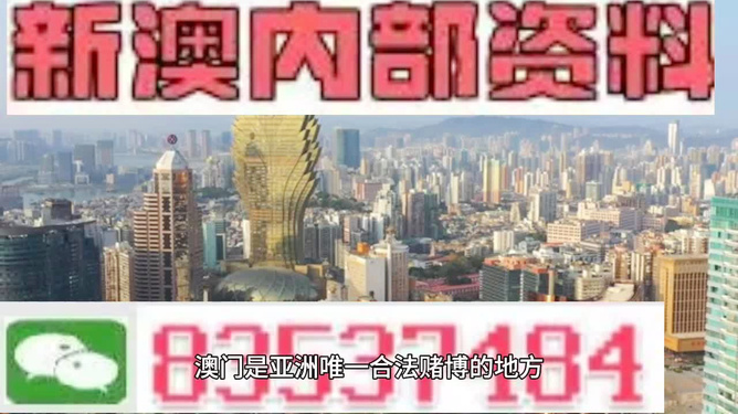新澳门内部精准公开，精选解析解释落实