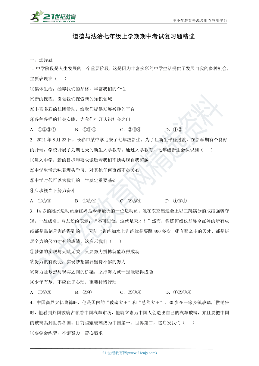 新澳门三期内必开一期,精选解释解析
