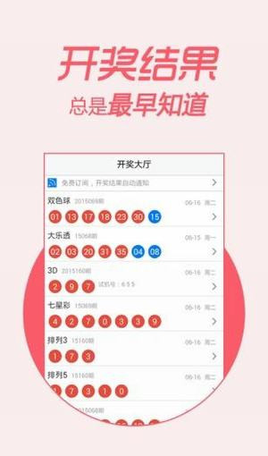 一肖一码一中一特，精选解析解释落实