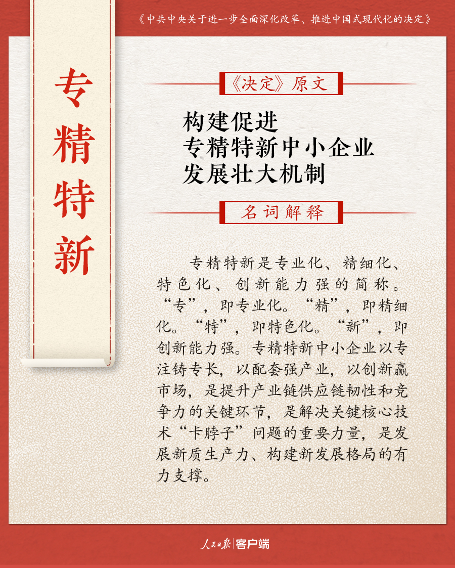 一肖一码一特一中，词语释义解释落实