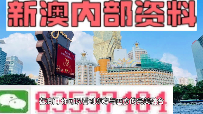 新澳2025年正版资料更新，实用释义解释落实