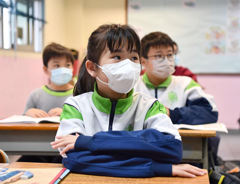 香港今晚必开一肖，精选解析解释落实