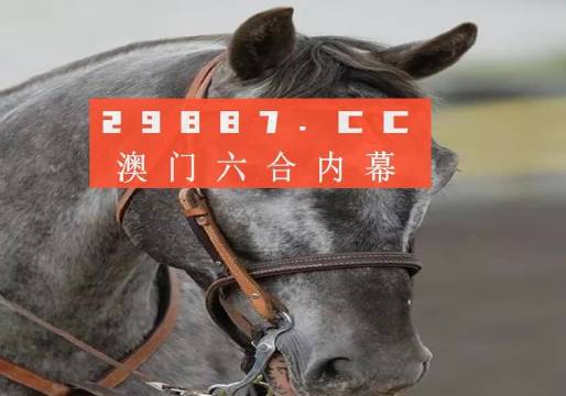 澳门必开一肖一码一中，词语释义解释落实