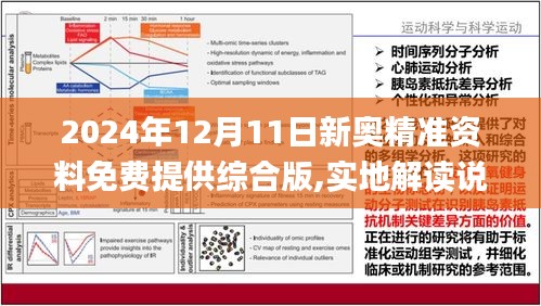 2025年正版资料免费大全,精选解释解析